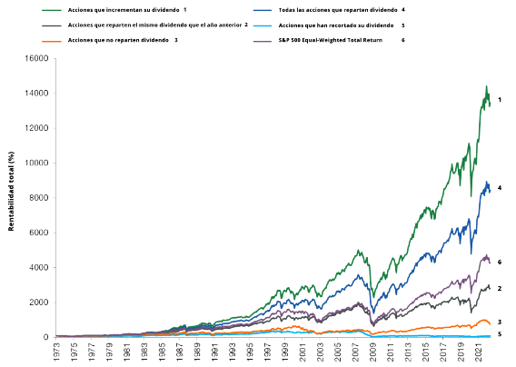 Rentabilidad acciones dividendo